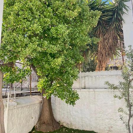 Modern 3Br Maisonette With Garden 10 Min From Acropolis Αθήνα Εξωτερικό φωτογραφία